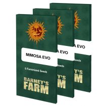 Mimosa EVO 3kpl