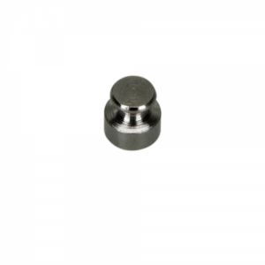 1g Test Weight