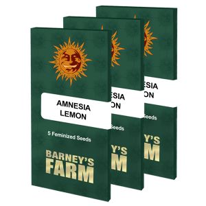 Amnesia Lemon 3kpl