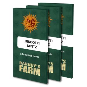 Biscotti Mintz 3kpl