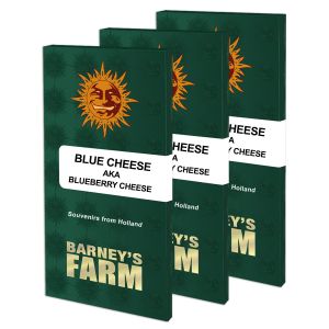 Blue Cheese 3kpl