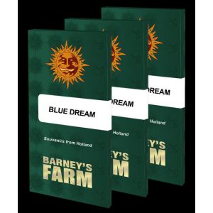 Blue Dream 3kpl
