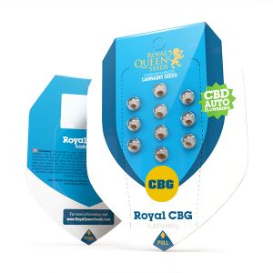 Royal CBG Automatic 3kpl