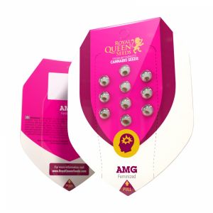 AMG - Amnesia Mac Ganja 5kpl
