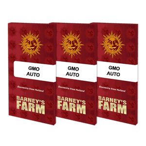 GMO Auto 3kpl