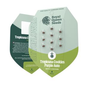 Tropicana Cookies Purple Auto 3kpl UUTUUS