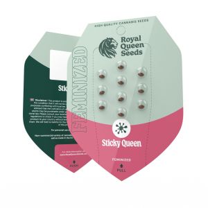 Sticky Queen 5kpl