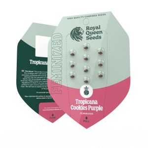 Tropicana Cookies Purple 3kpl