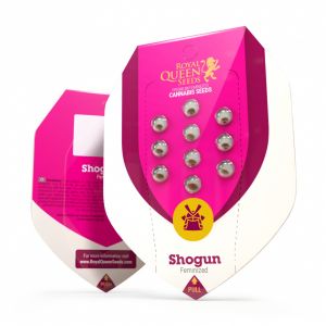 Shogun 3kpl