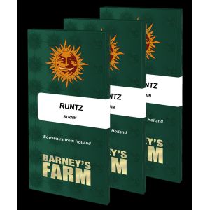 Runtz strain 3kpl