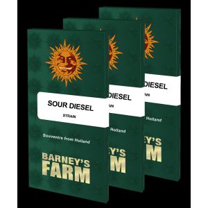 Sour Diesel 3kpl