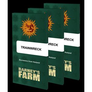 Trainwreck 3kpl