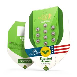 Sherbet Queen Auto 5kpl