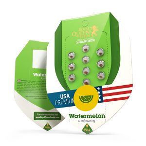Watermelon Auto 5kpl