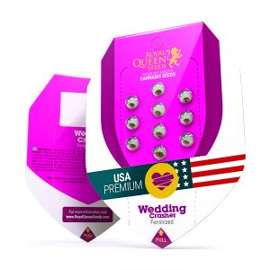 Wedding Crasher 5kpl