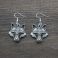 Viking earrings (148)