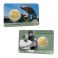 2€ Juhlaraha Suomi 2026 Pietilä ,coincard