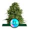 Cosmos F1 5kpl