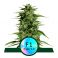 Hyperion F1 3kpl