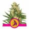 Fat Banana 5kpl